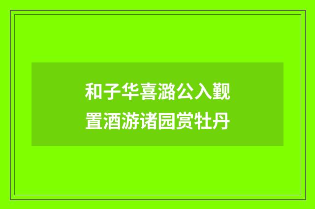 和子华喜潞公入觐置酒游诸园赏牡丹