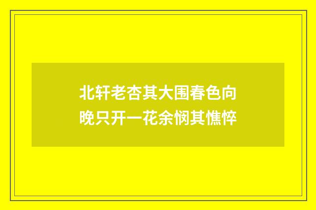 北轩老杏其大围春色向晚只开一花余悯其憔悴