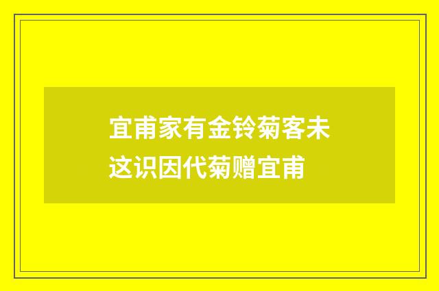 宜甫家有金铃菊客未这识因代菊赠宜甫