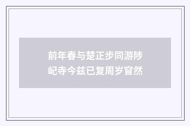前年春与楚正步同游陟屺寺今兹已复周岁窅然