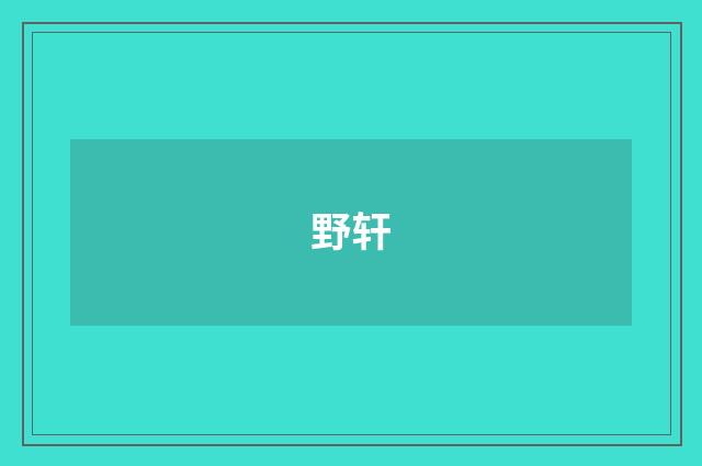 野轩