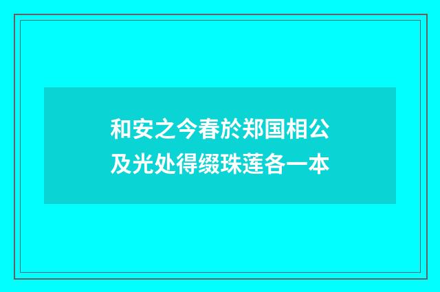 和安之今春於郑国相公及光处得缀珠莲各一本