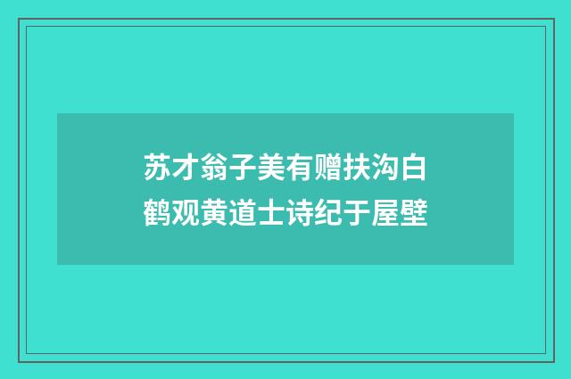 苏才翁子美有赠扶沟白鹤观黄道士诗纪于屋壁