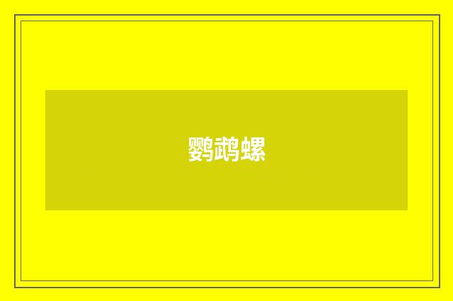 鹦鹉螺