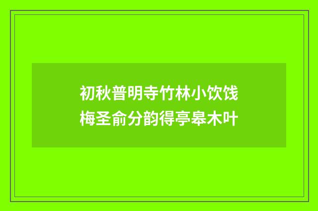 初秋普明寺竹林小饮饯梅圣俞分韵得亭皋木叶