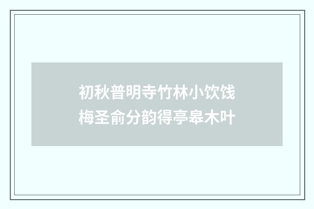 初秋普明寺竹林小饮饯梅圣俞分韵得亭皋木叶