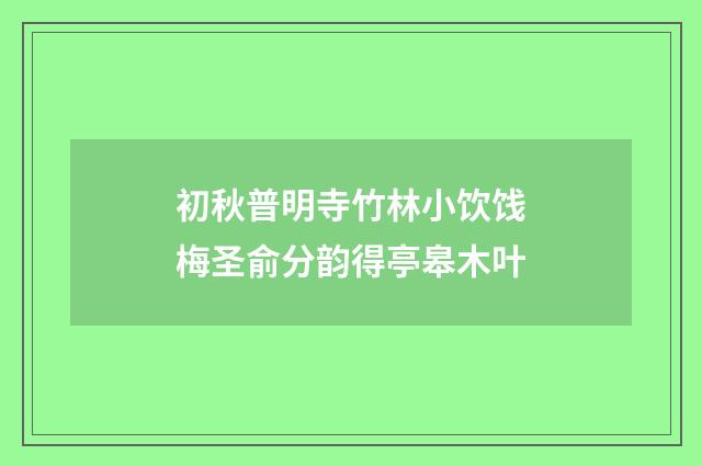 初秋普明寺竹林小饮饯梅圣俞分韵得亭皋木叶