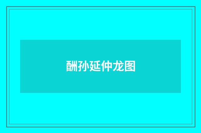 酬孙延仲龙图