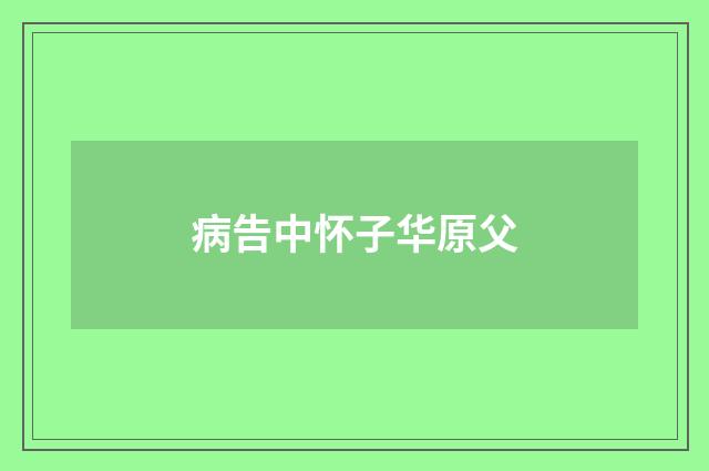 病告中怀子华原父