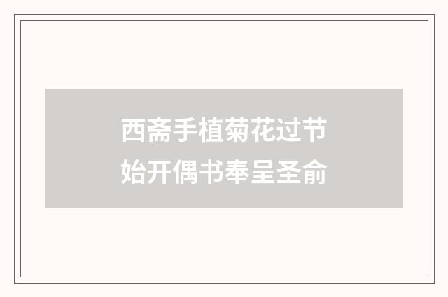 西斋手植菊花过节始开偶书奉呈圣俞