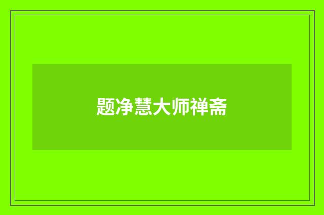 题净慧大师禅斋