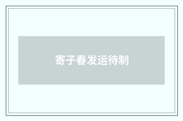寄子春发运待制
