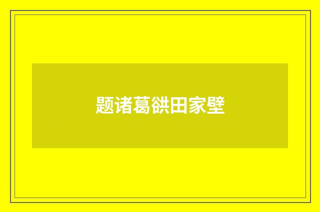题诸葛谼田家壁