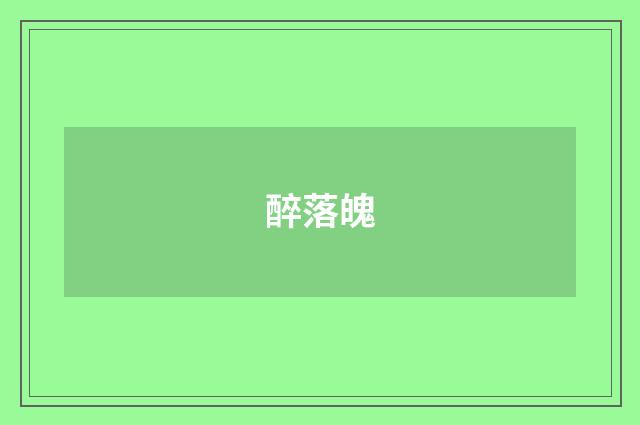 醉落魄