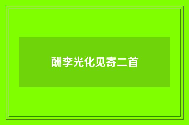酬李光化见寄二首