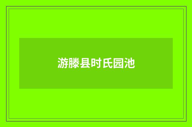 游滕县时氏园池