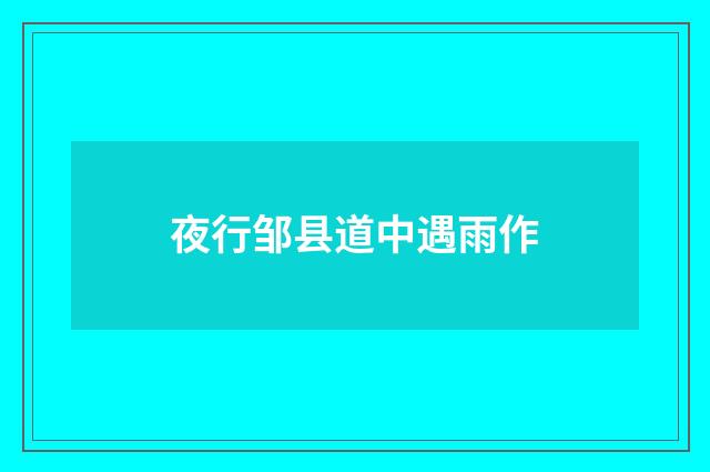 夜行邹县道中遇雨作