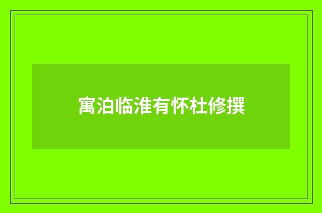 寓泊临淮有怀杜修撰