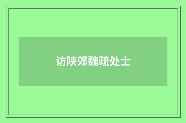 访陕郊魏疏处士