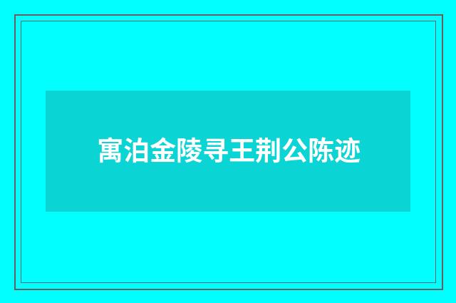 寓泊金陵寻王荆公陈迹