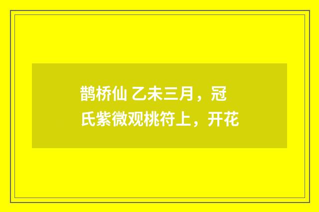 鹊桥仙 乙未三月，冠氏紫微观桃符上，开花