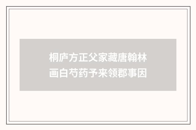 桐庐方正父家藏唐翰林画白芍药予来领郡事因