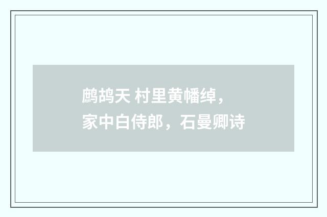 鹧鸪天 村里黄幡绰，家中白侍郎，石曼卿诗