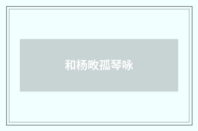 和杨畋孤琴咏