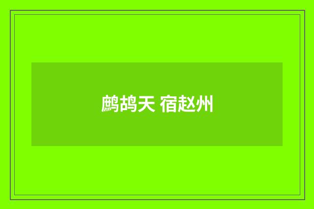 鹧鸪天 宿赵州