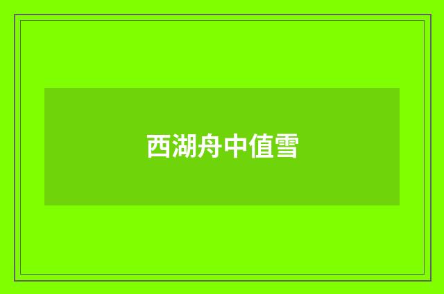 西湖舟中值雪