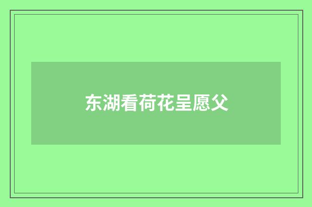 东湖看荷花呈愿父