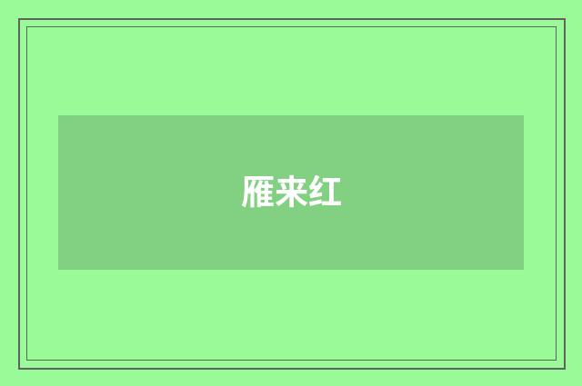 雁来红