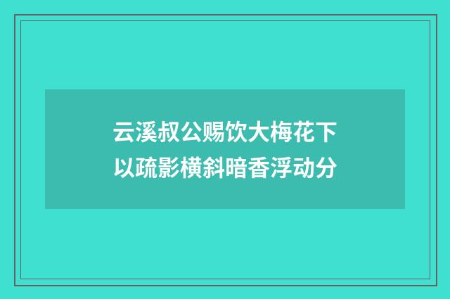 云溪叔公赐饮大梅花下以疏影横斜暗香浮动分
