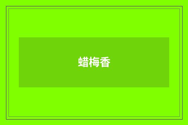 蜡梅香