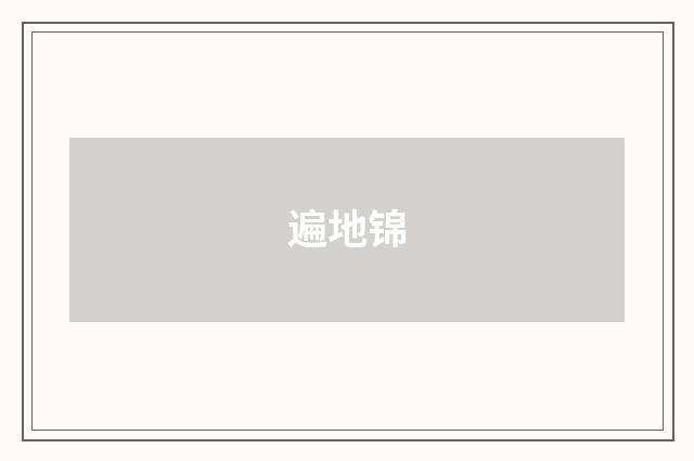 遍地锦