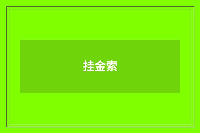 挂金索