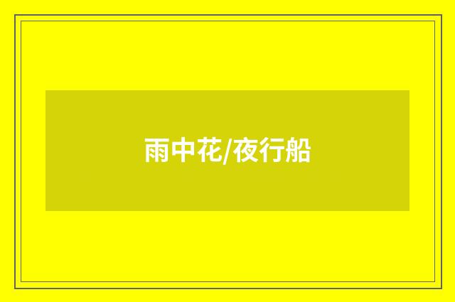 雨中花/夜行船