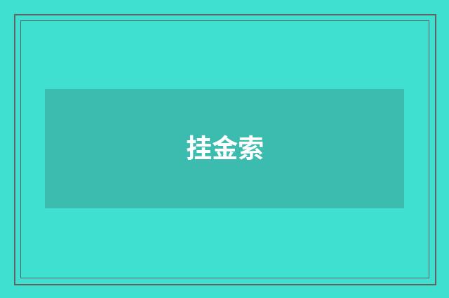 挂金索