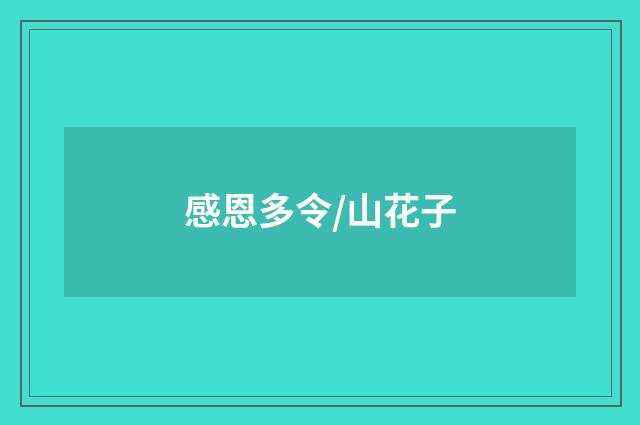 感恩多令/山花子