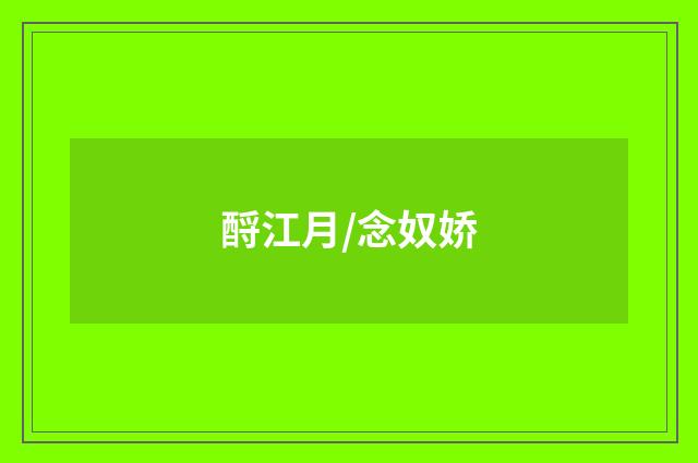 酹江月/念奴娇