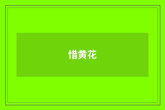 惜黄花