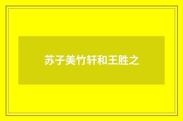 苏子美竹轩和王胜之