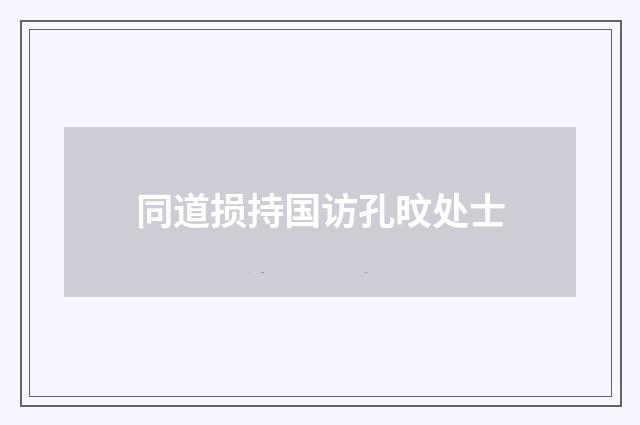 同道损持国访孔旼处士