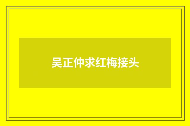吴正仲求红梅接头