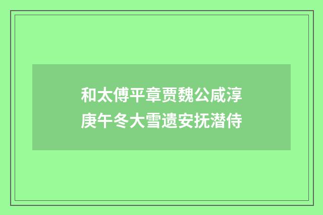 和太傅平章贾魏公咸淳庚午冬大雪遗安抚潜侍