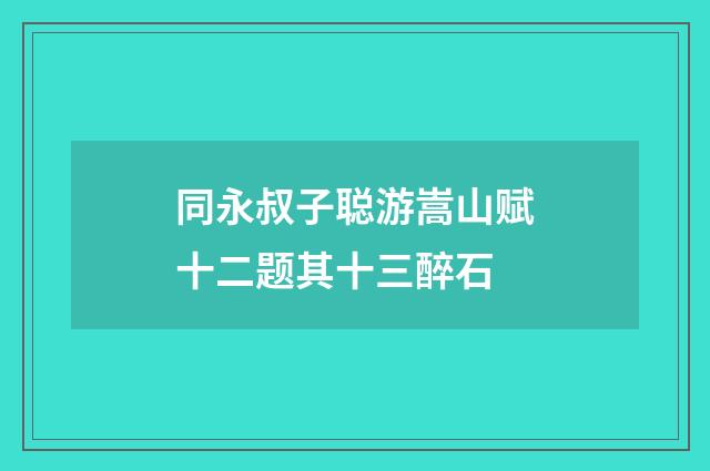 同永叔子聪游嵩山赋十二题其十三醉石