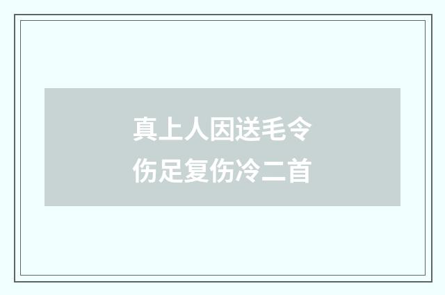 真上人因送毛令伤足复伤冷二首