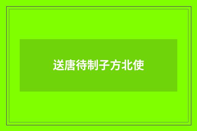 送唐待制子方北使