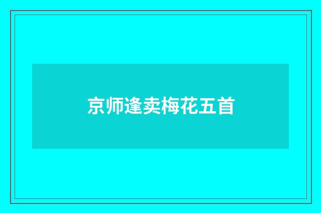 京师逢卖梅花五首
