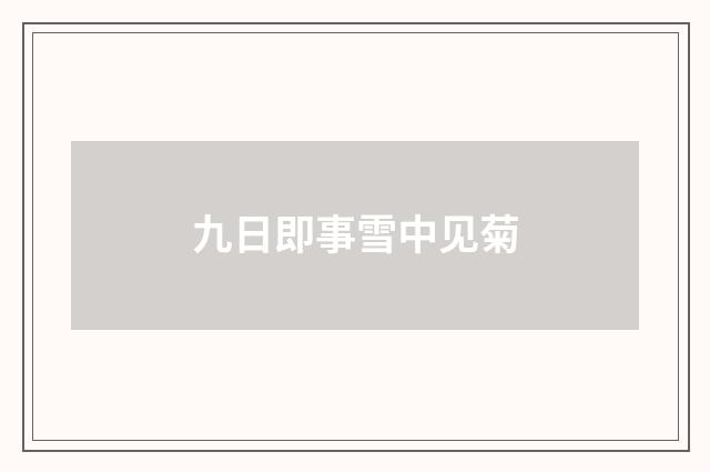 九日即事雪中见菊